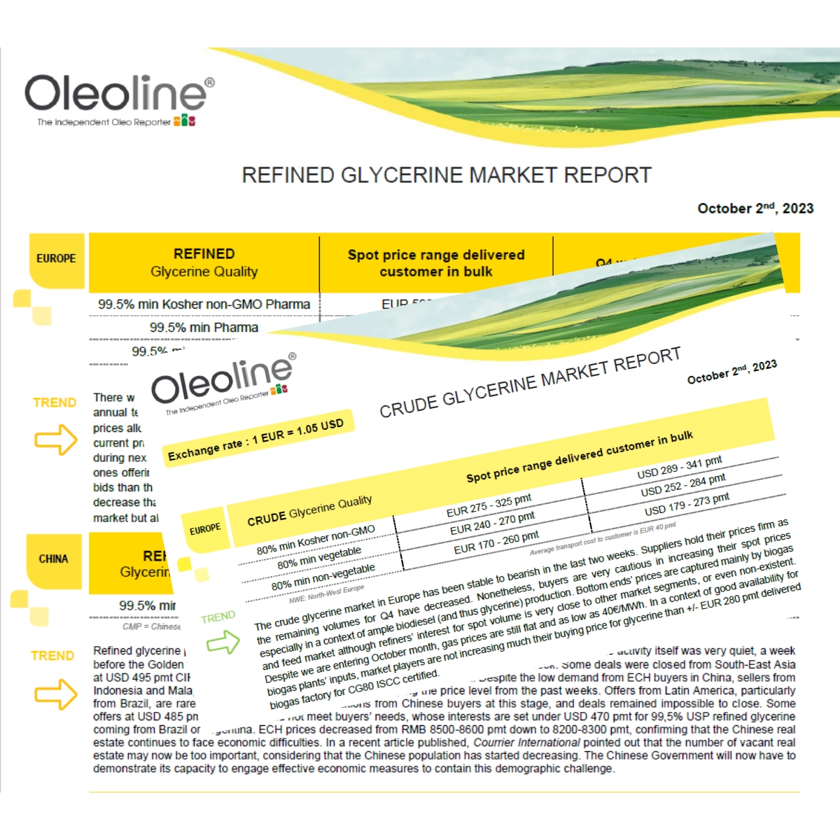 Oleoline reports are changing their look 💫